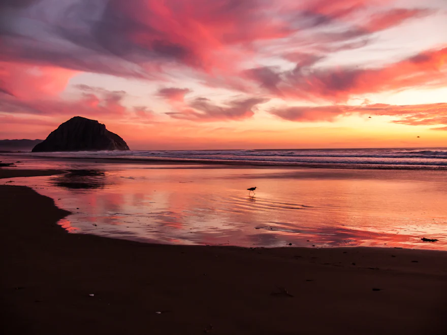 A beach at sunset